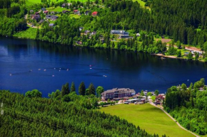 Отель Maritim Titisee Hotel  Титизее-Нойштадт